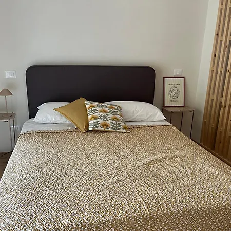 Teodora Safran Apartamento *