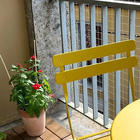 Teodora Safran Rávena